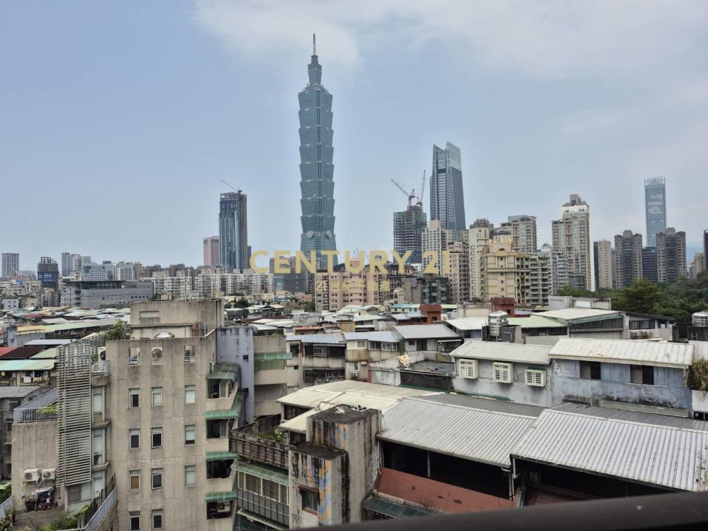 新紐約面101景觀屋(租9)