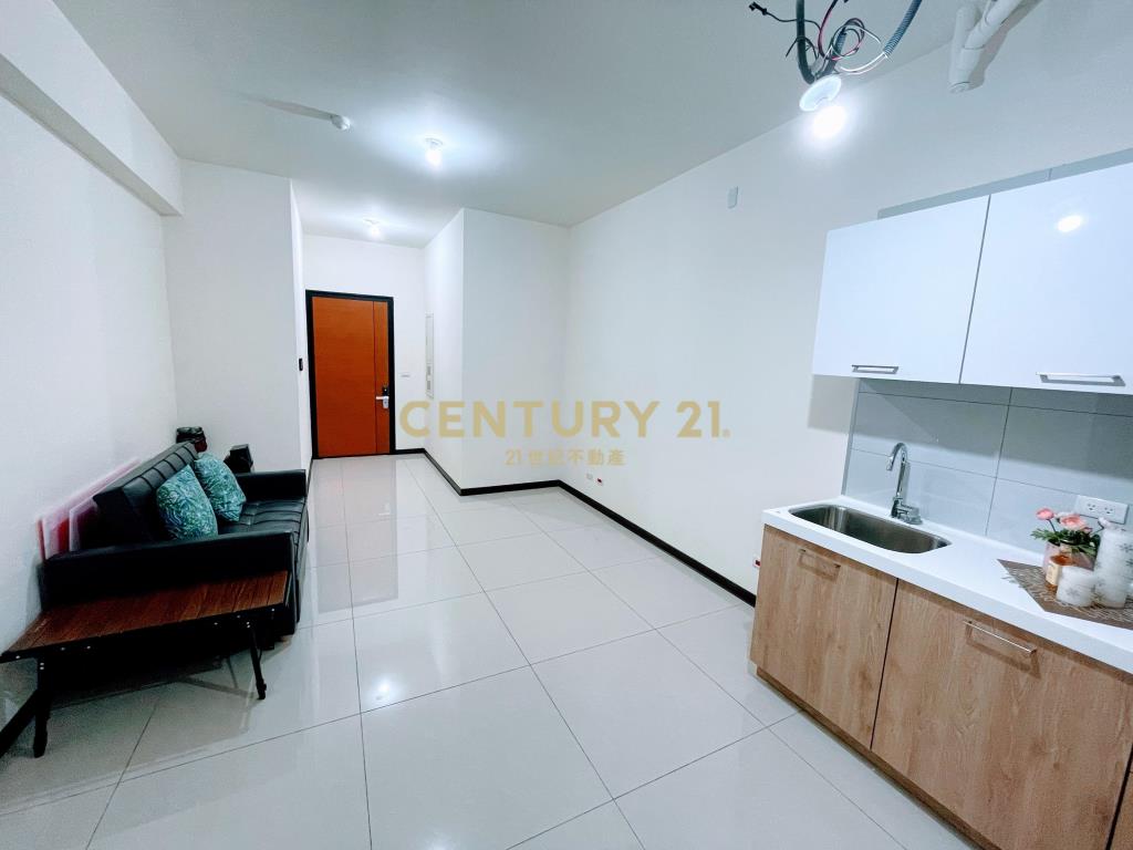 14張大公園小豪宅(A87)