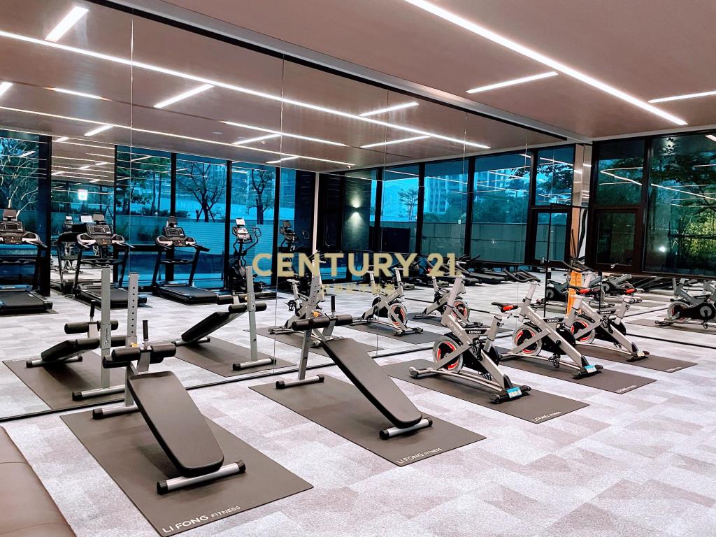 14張大公園小豪宅(A87)