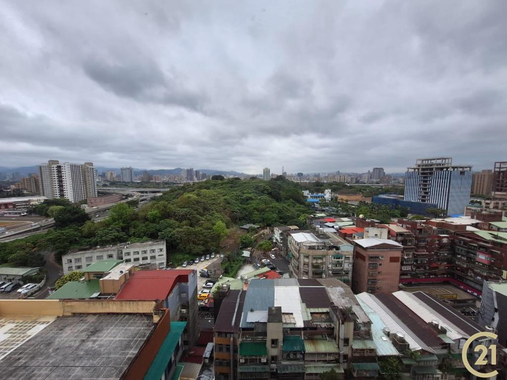 【租21》台大寰宇堂豪景大戶