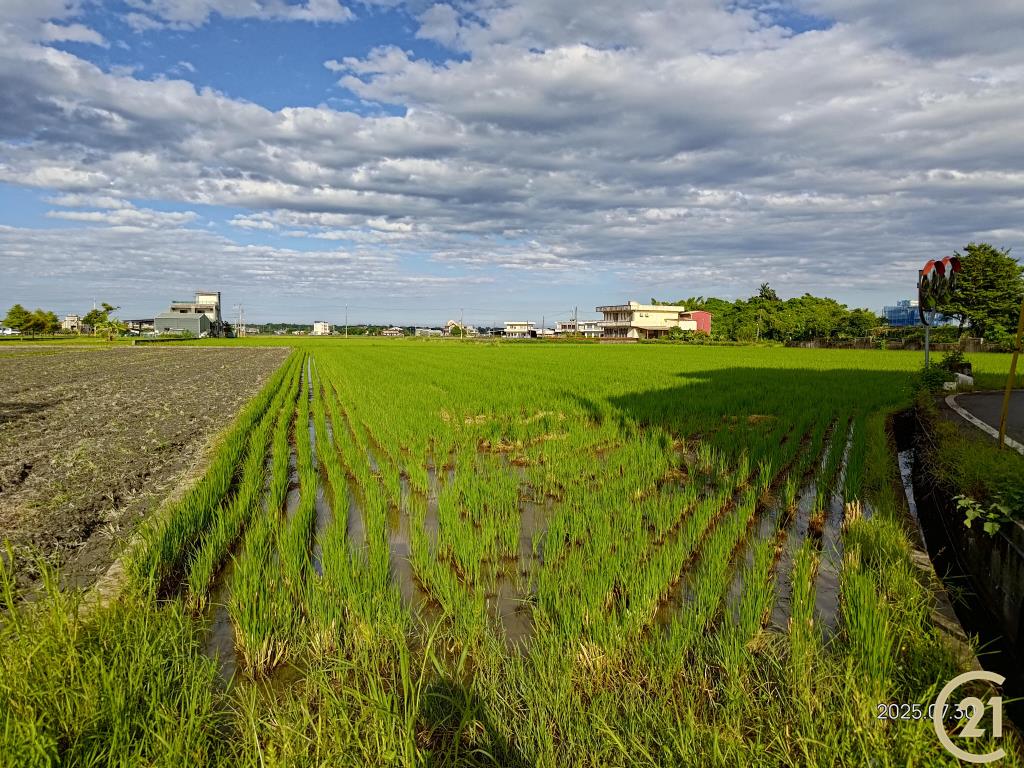 【外51】壯圍田園美農地