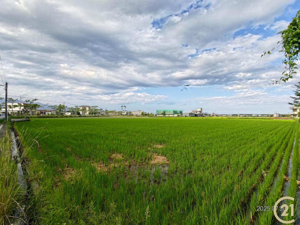 【外51】壯圍田園美農地