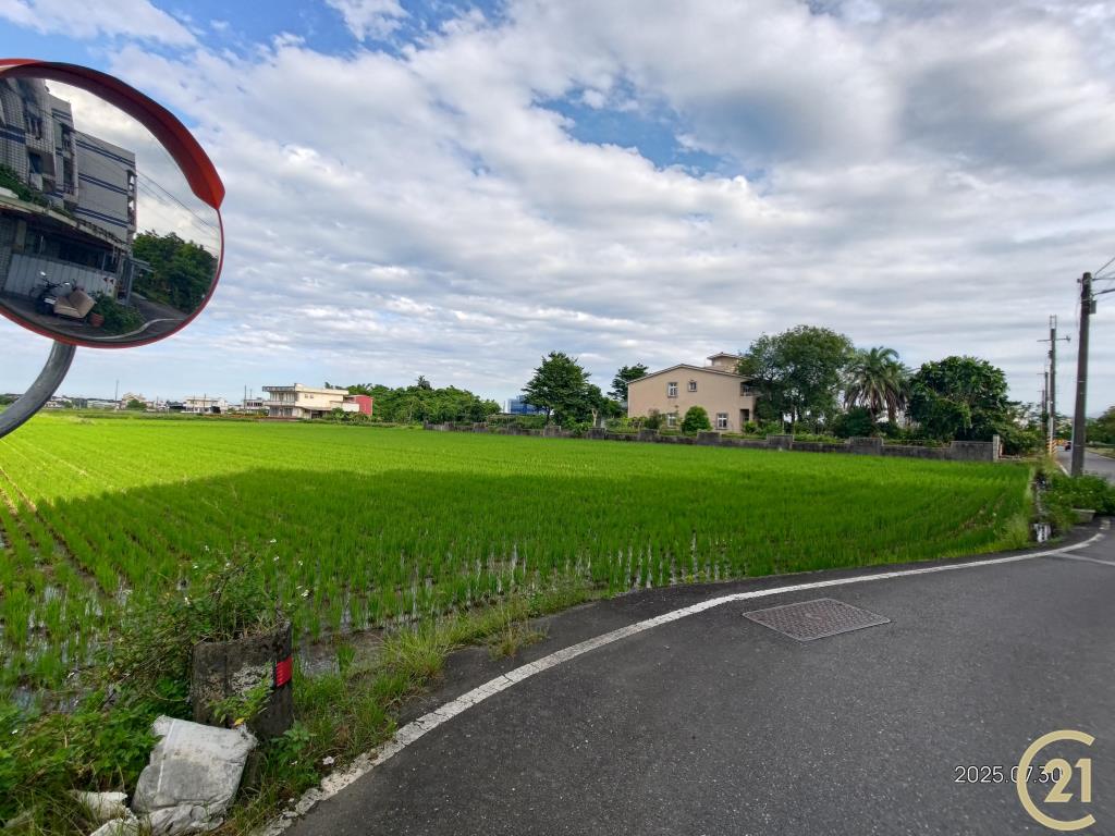 【外51】壯圍田園美農地