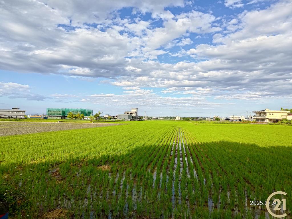 【外51】壯圍田園美農地