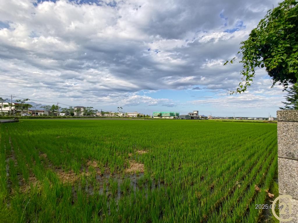 【外51】壯圍田園美農地