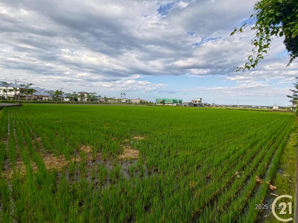 【外51】壯圍田園美農地