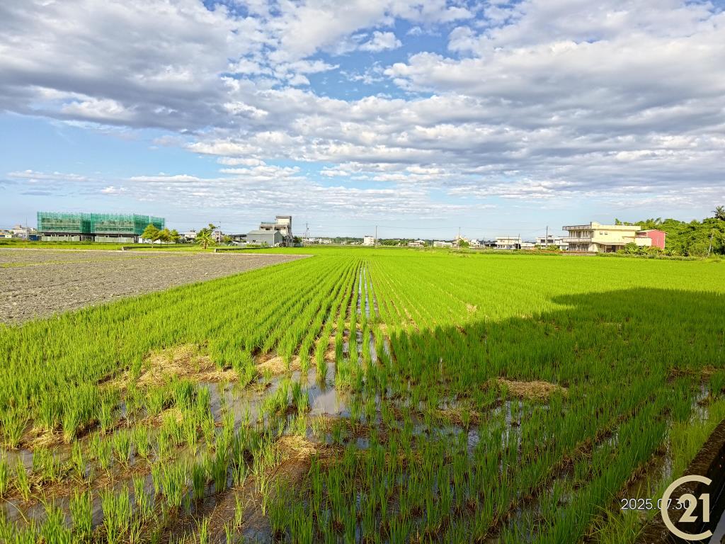 【外51】壯圍田園美農地