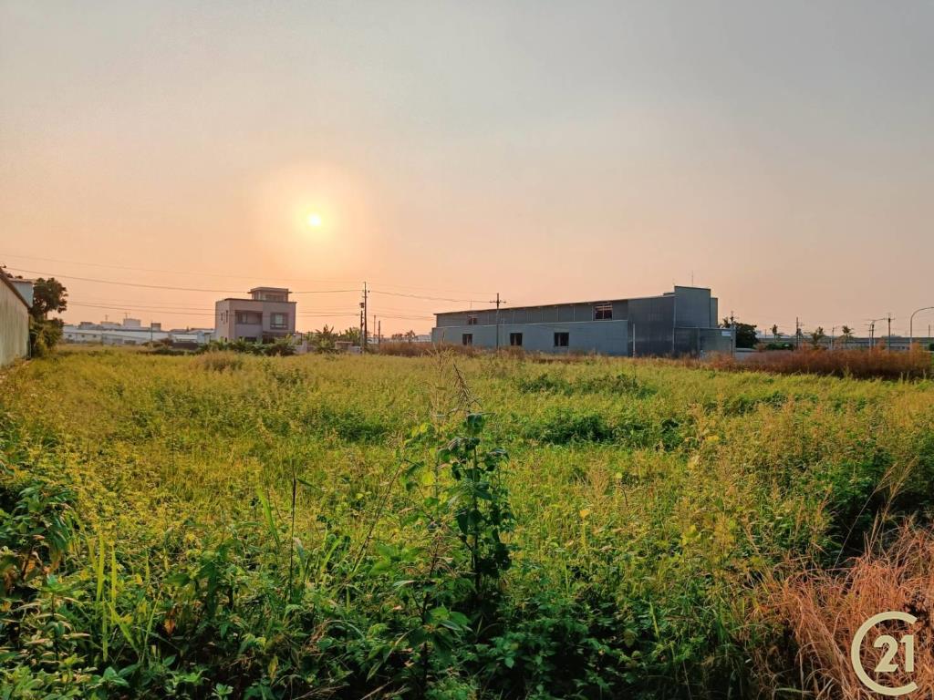 【外47》永康臨路方正農地