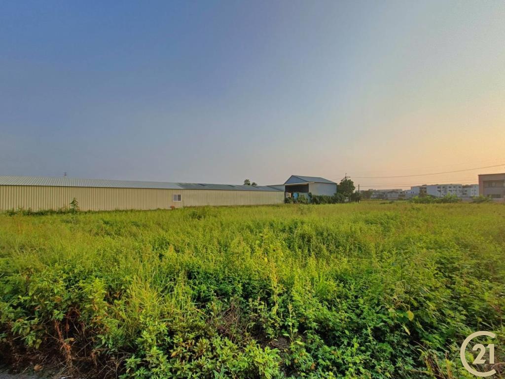 【外47》永康臨路方正農地