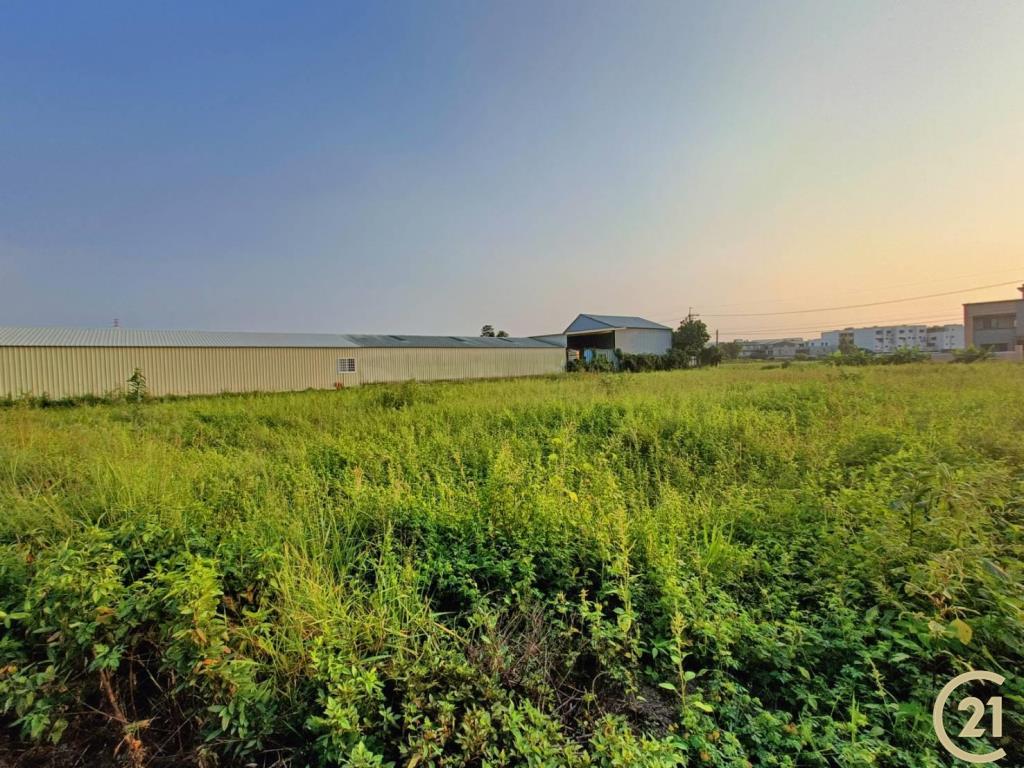 【外47》永康臨路方正農地