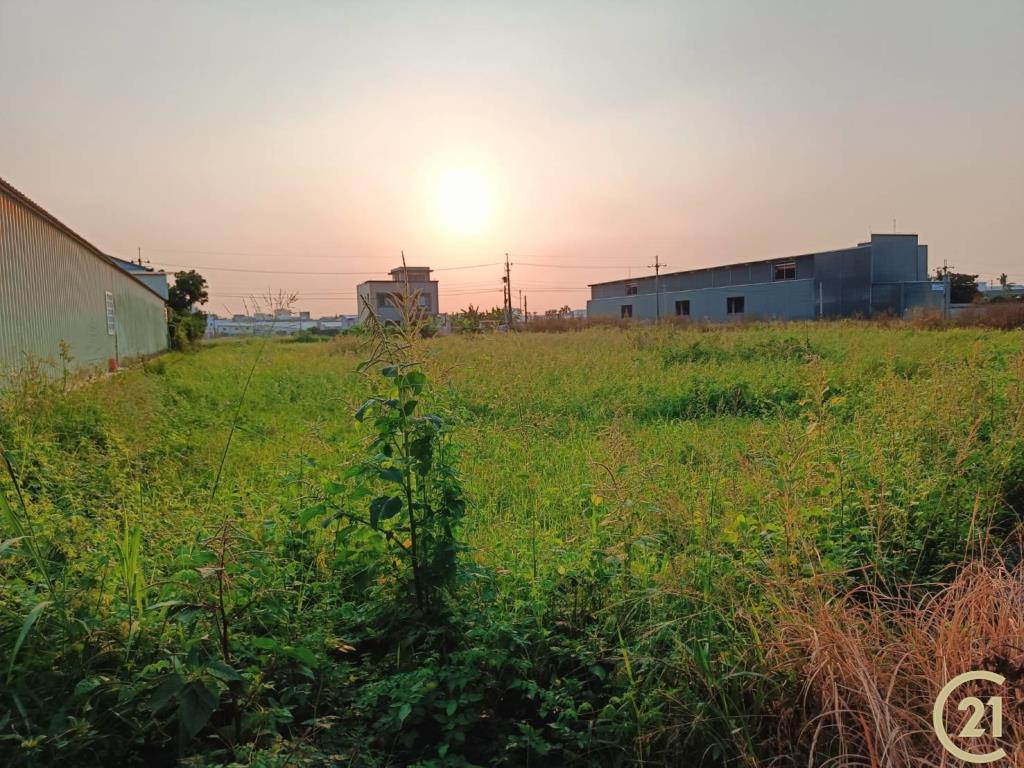 【外47》永康臨路方正農地