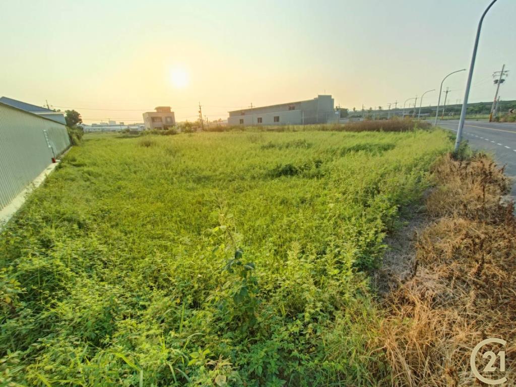 【外47》永康臨路方正農地