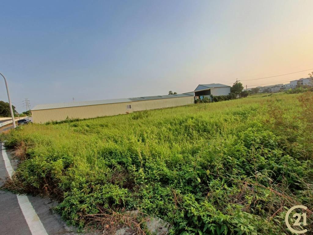 【外47》永康臨路方正農地