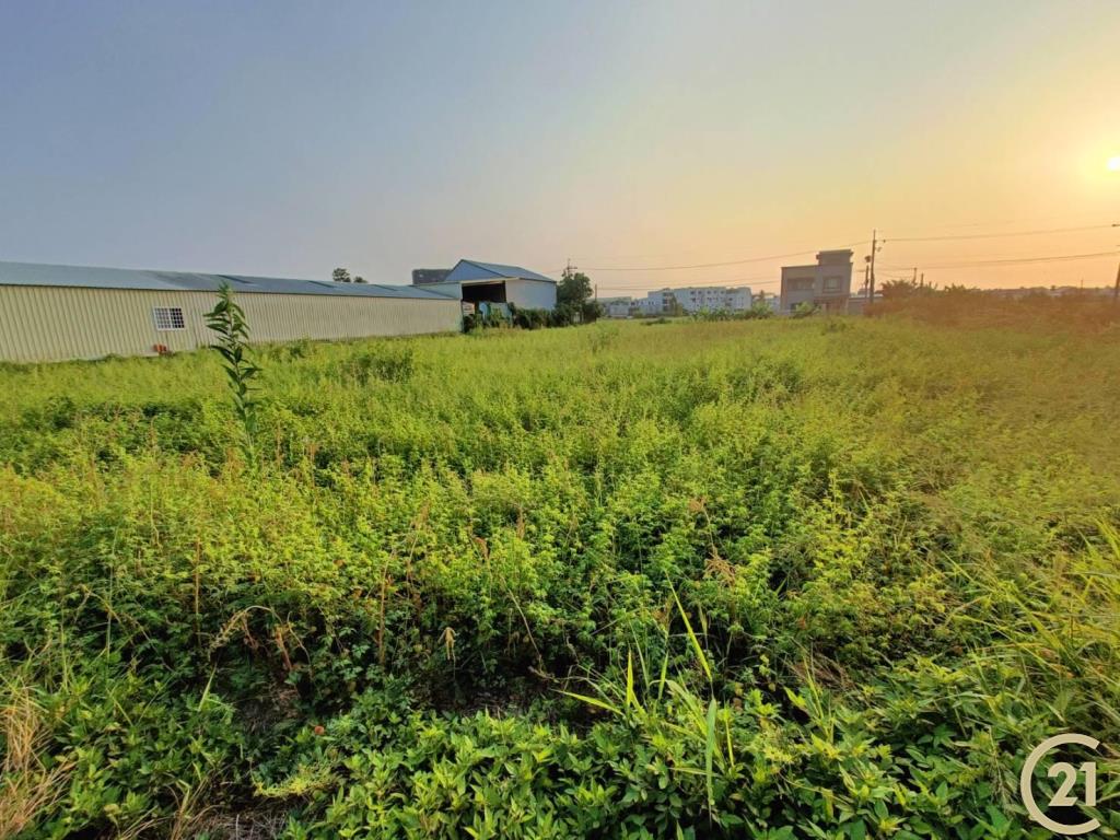 【外47》永康臨路方正農地