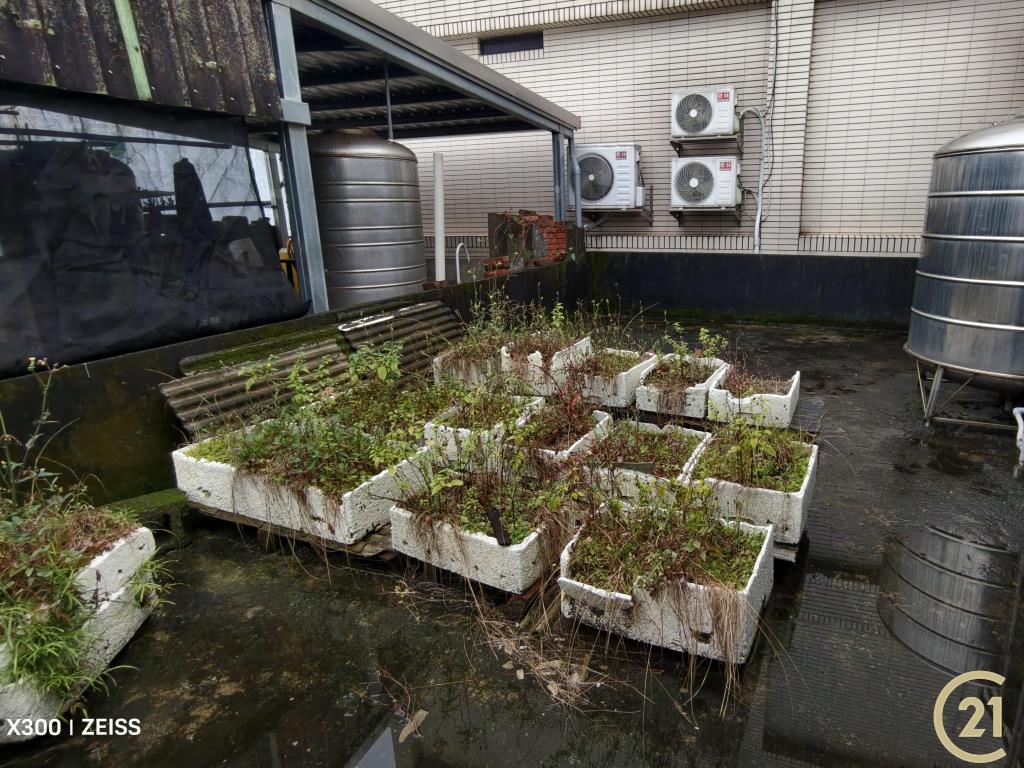 【外31》桃園透天美宅