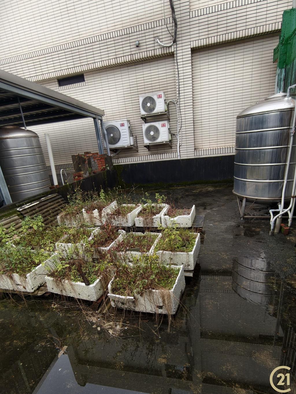 【外31》桃園透天美宅