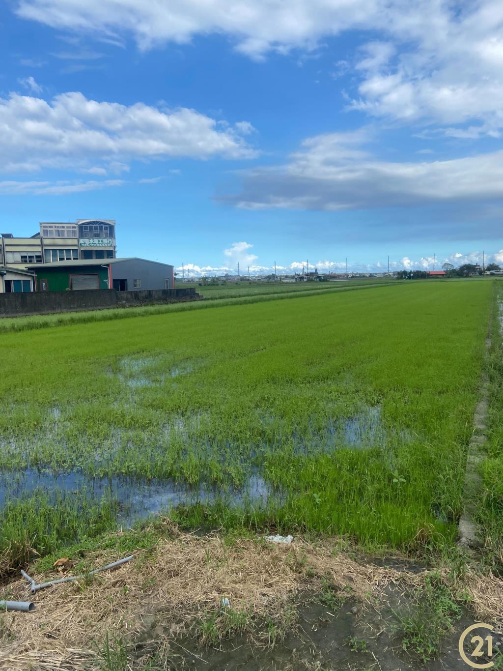 【外13》宜蘭壯圍農地