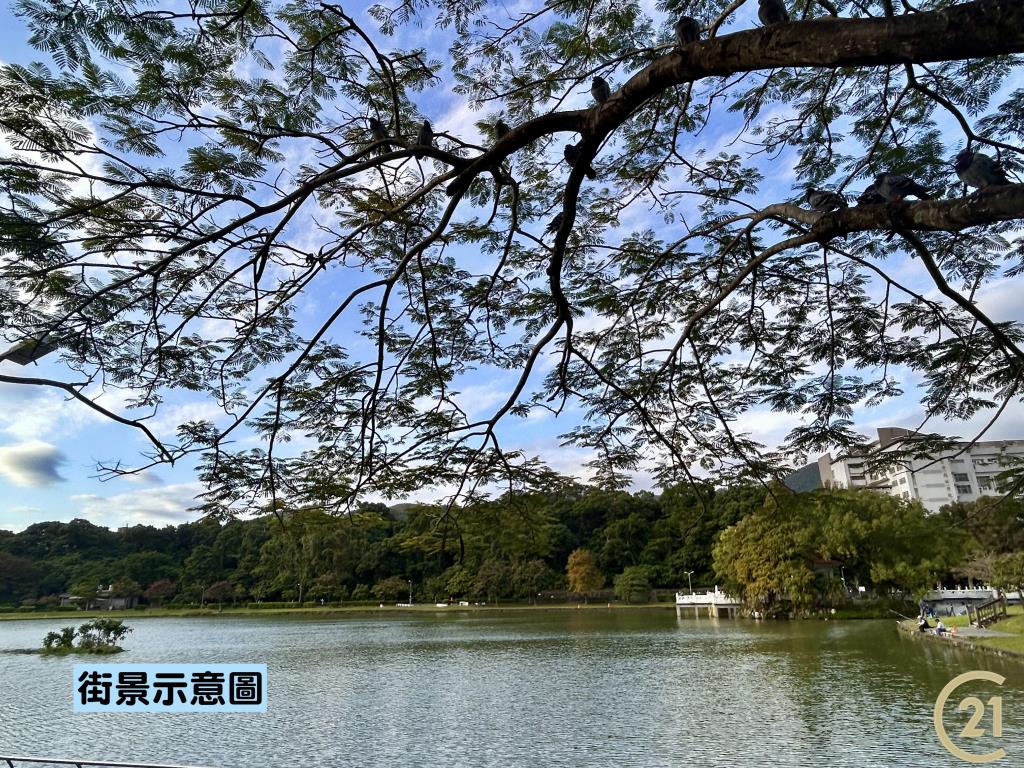 【060》碧湖連棟透天穩賺