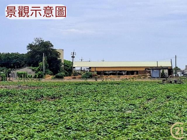 【外19》芳苑農地透天農舍