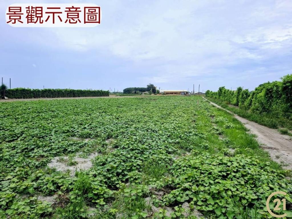 【外19》芳苑農地透天農舍