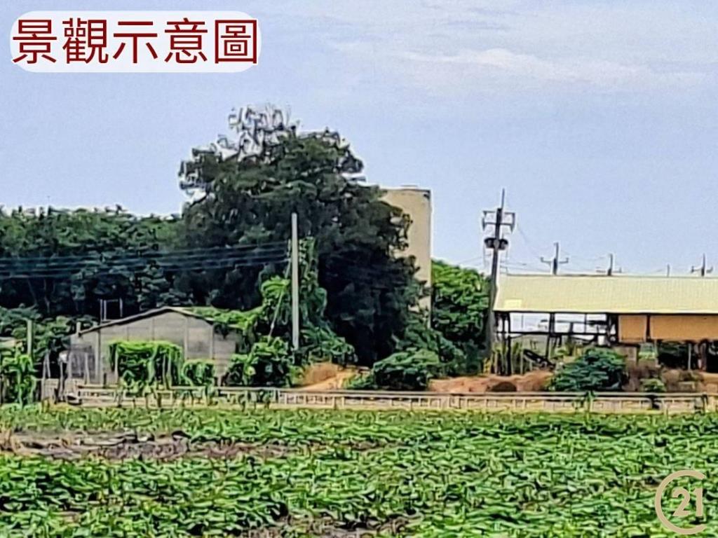 【外19》芳苑農地透天農舍