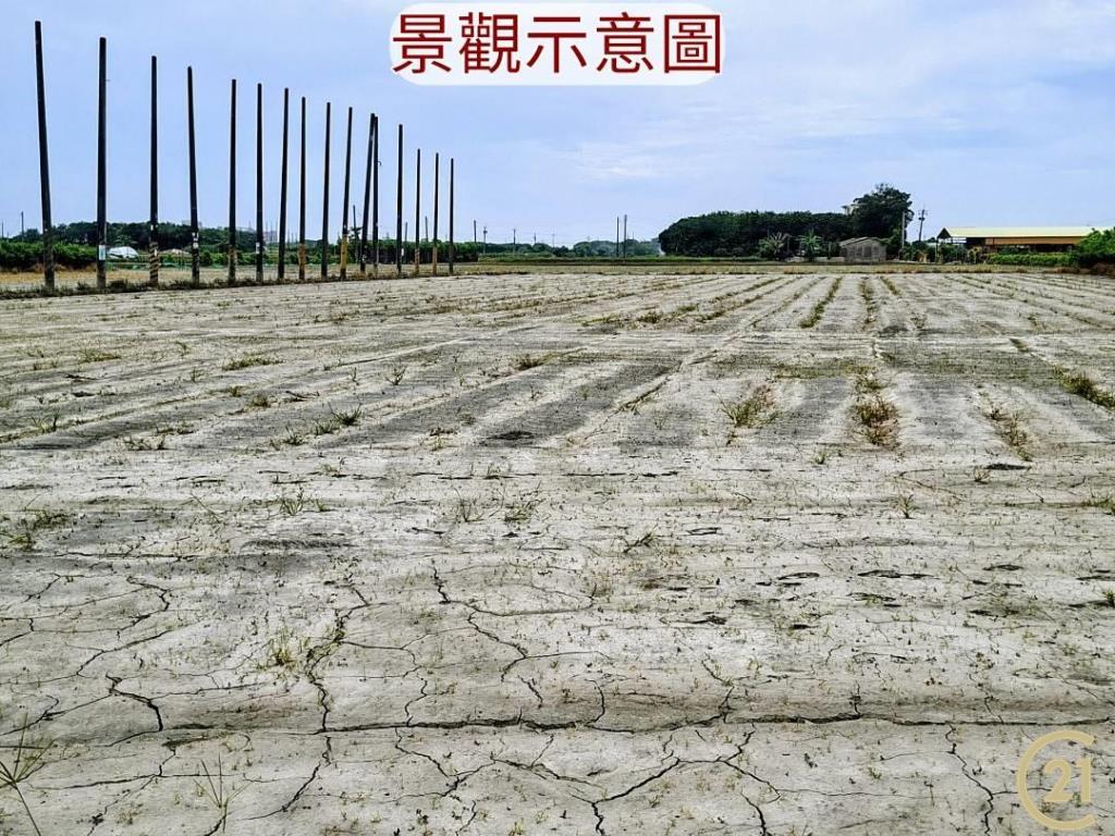 【外19》芳苑農地透天農舍