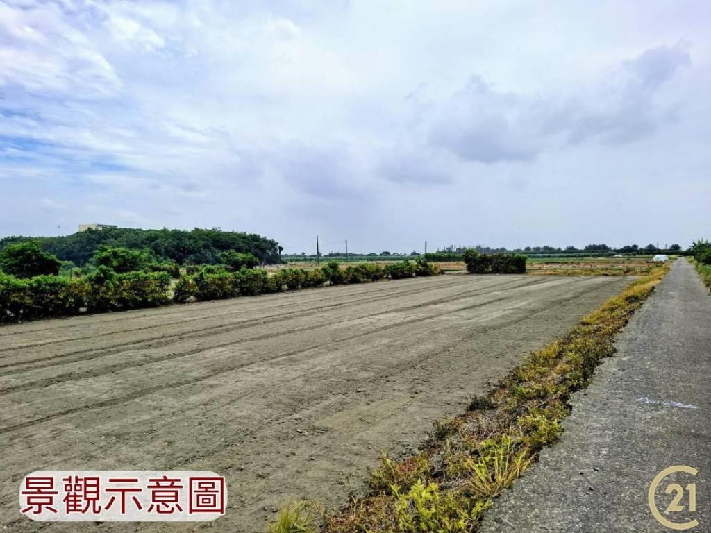 【外19》芳苑農地透天農舍