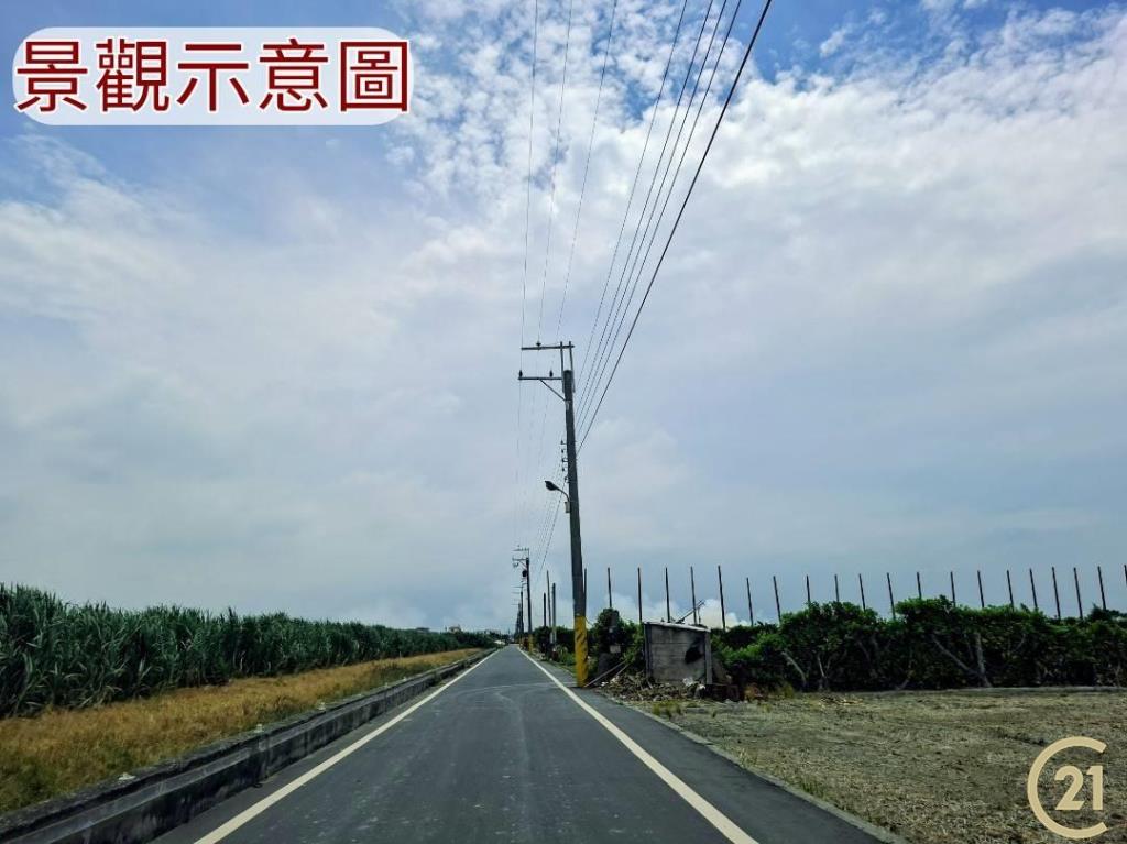 【外19》芳苑農地透天農舍