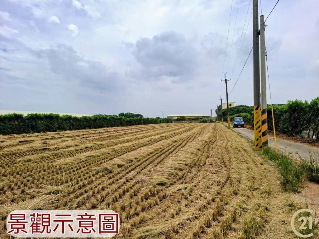 【外19》芳苑農地透天農舍
