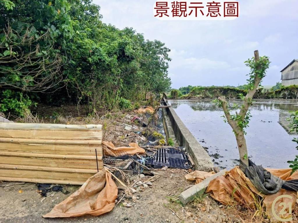 【外19》芳苑農地透天農舍