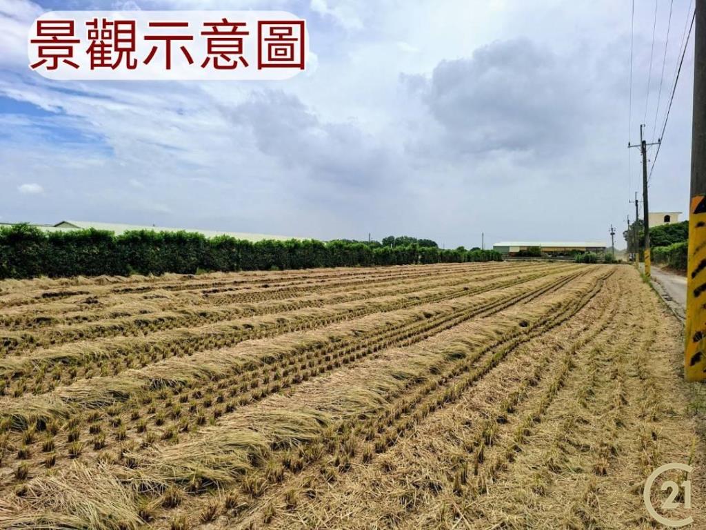 【外19》芳苑農地透天農舍