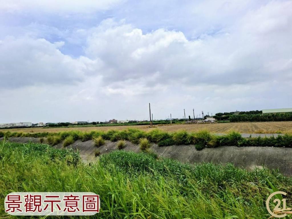 【外19》芳苑農地透天農舍