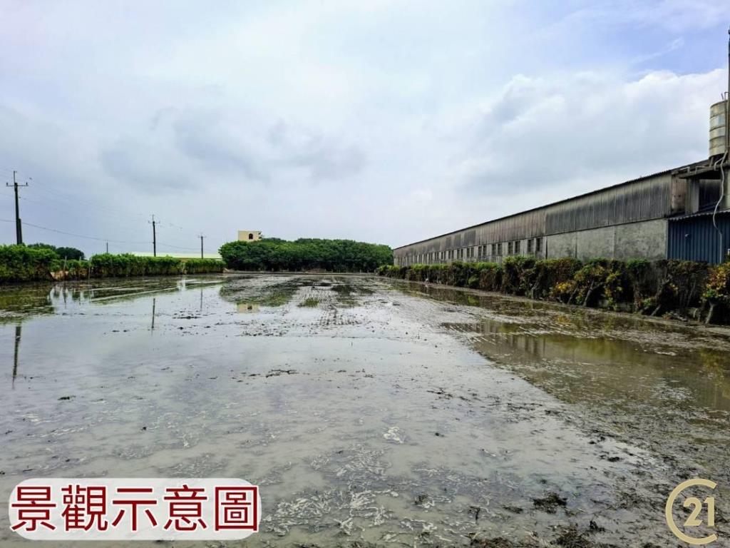 【外19》芳苑農地透天農舍