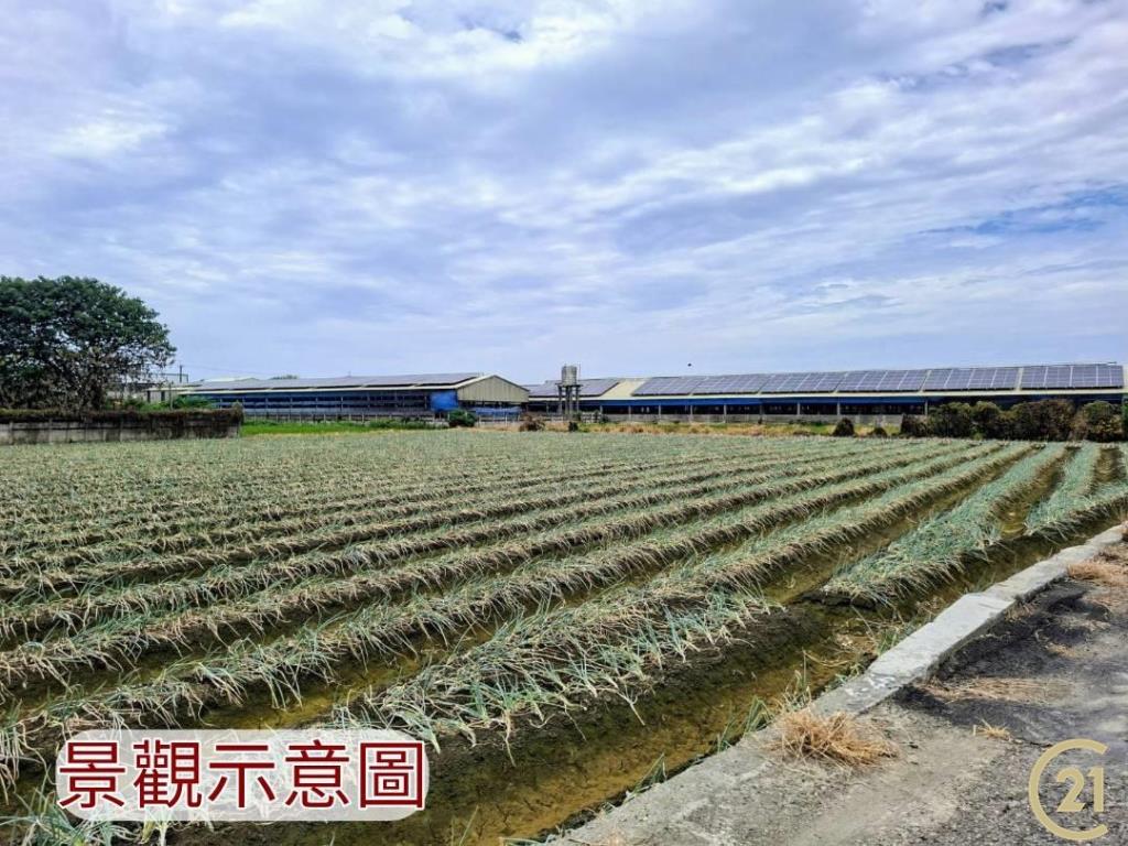 【外19》芳苑農地透天農舍