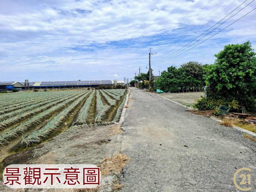 【外19》芳苑農地透天農舍