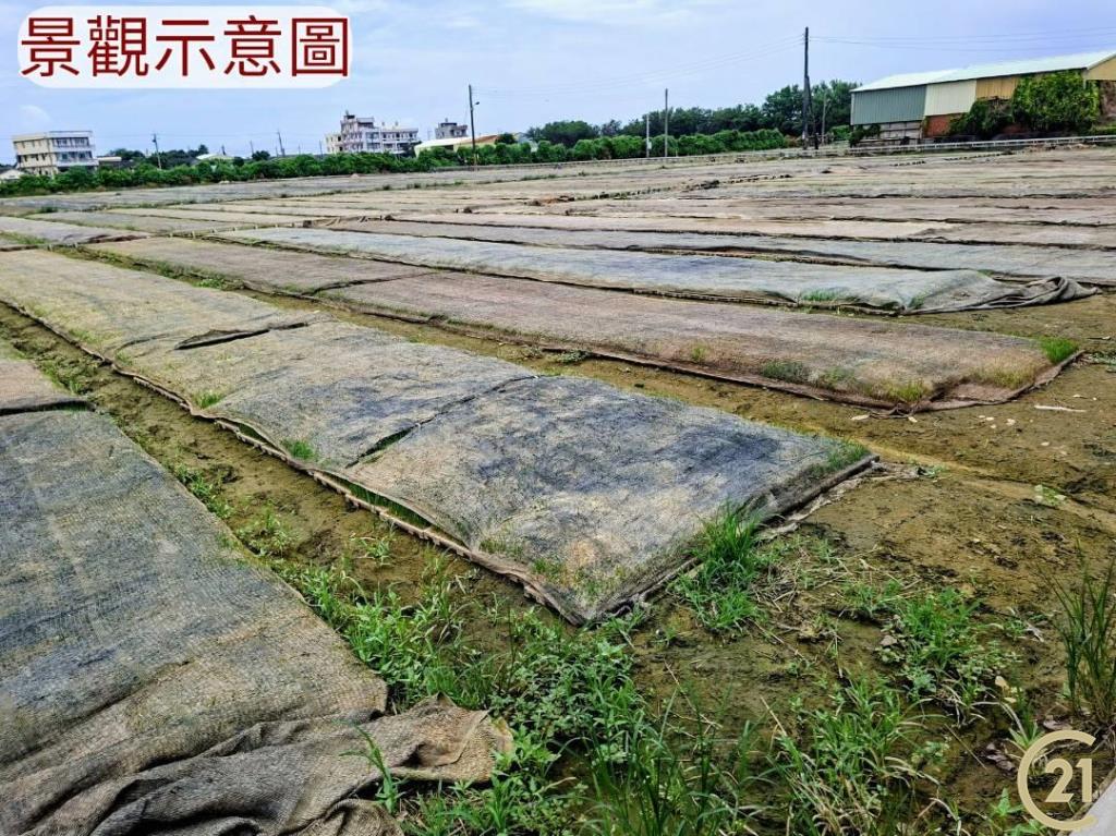 【外19》芳苑農地透天農舍