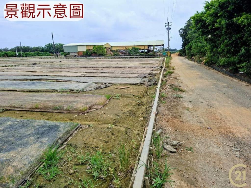 【外19》芳苑農地透天農舍