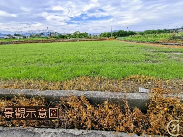 【外05》銅鑼鄉便宜農地