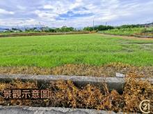 【外05》銅鑼鄉便宜農地