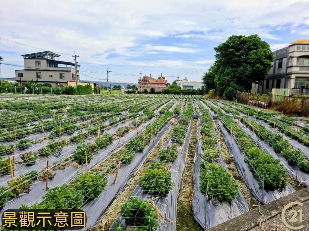 【外05》銅鑼鄉便宜農地