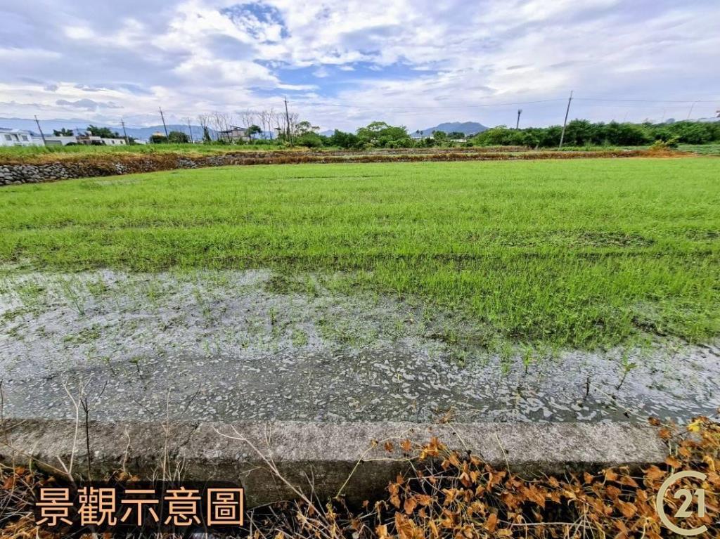 【外05》銅鑼鄉便宜農地