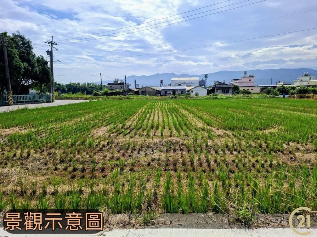【外05》銅鑼鄉便宜農地
