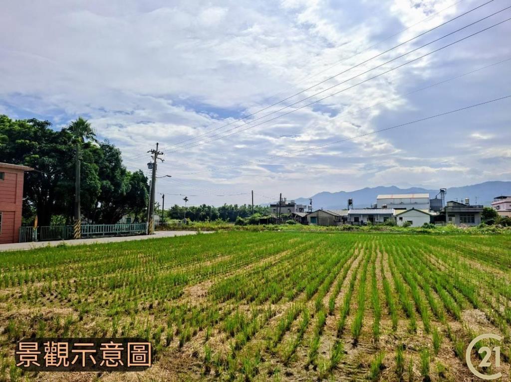 【外05》銅鑼鄉便宜農地