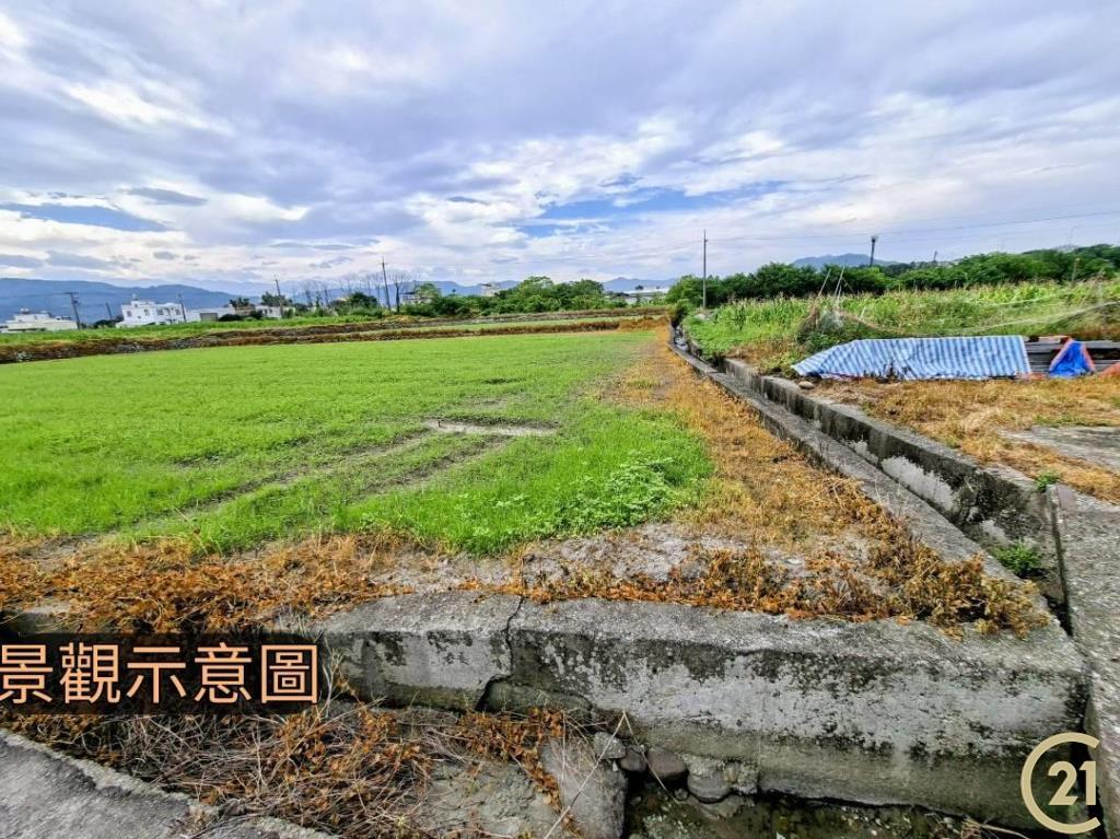 【外05》銅鑼鄉便宜農地