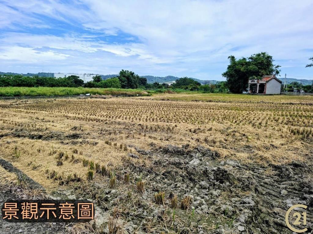 【外05》銅鑼鄉便宜農地