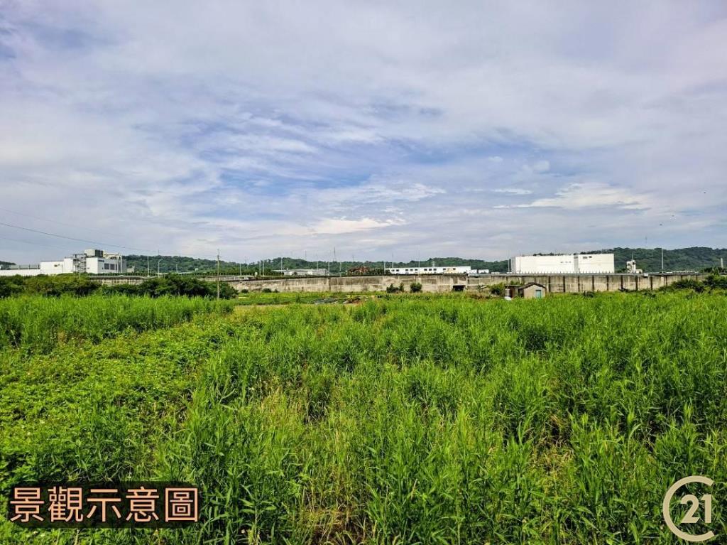 【外05》銅鑼鄉便宜農地