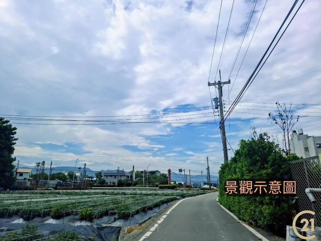 【外05》銅鑼鄉便宜農地