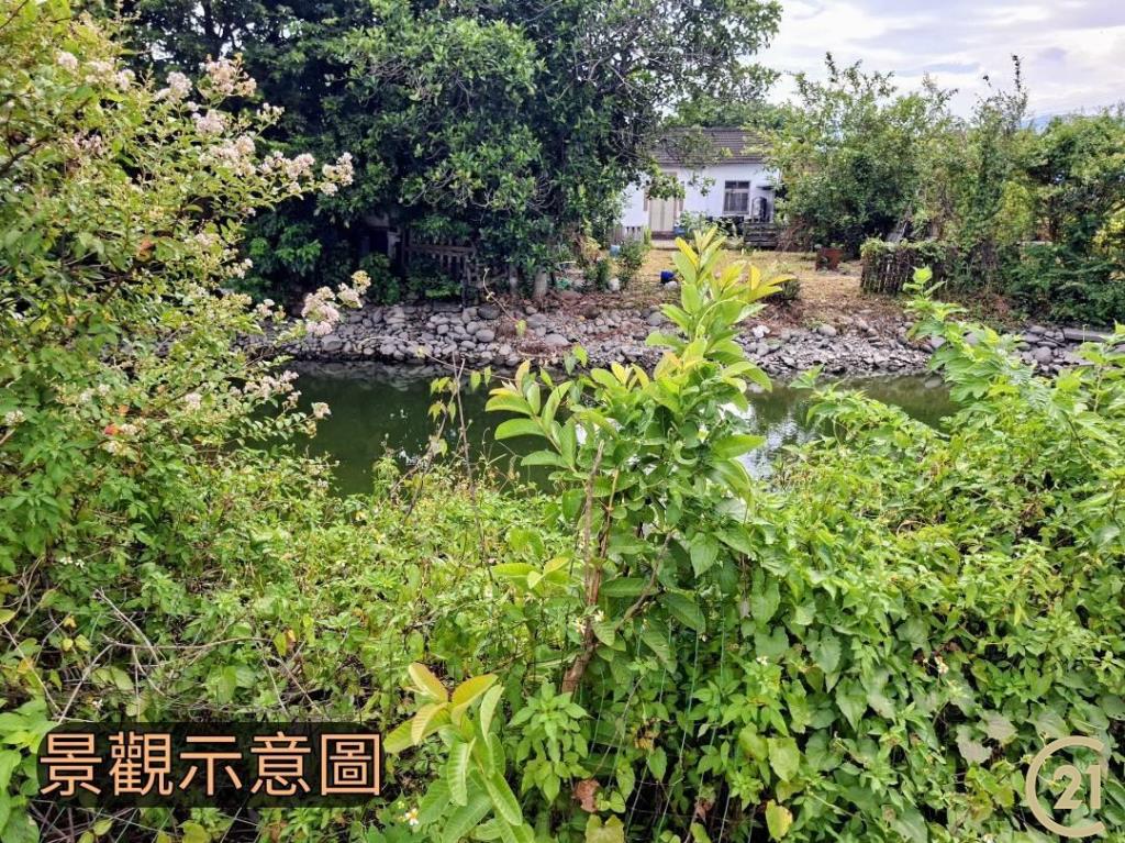 【外05》銅鑼鄉便宜農地