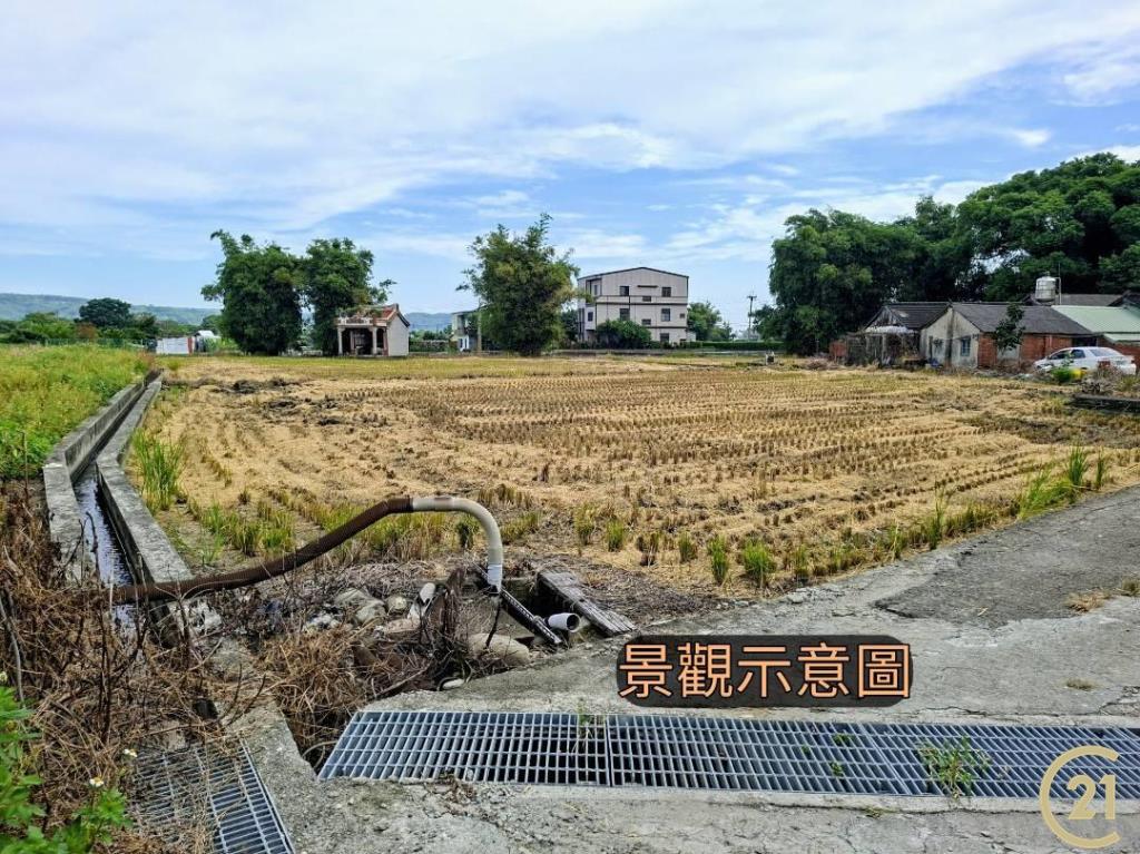 【外05》銅鑼鄉便宜農地