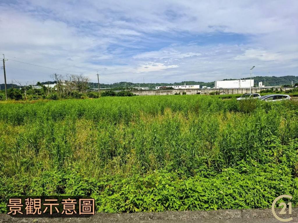 【外05》銅鑼鄉便宜農地